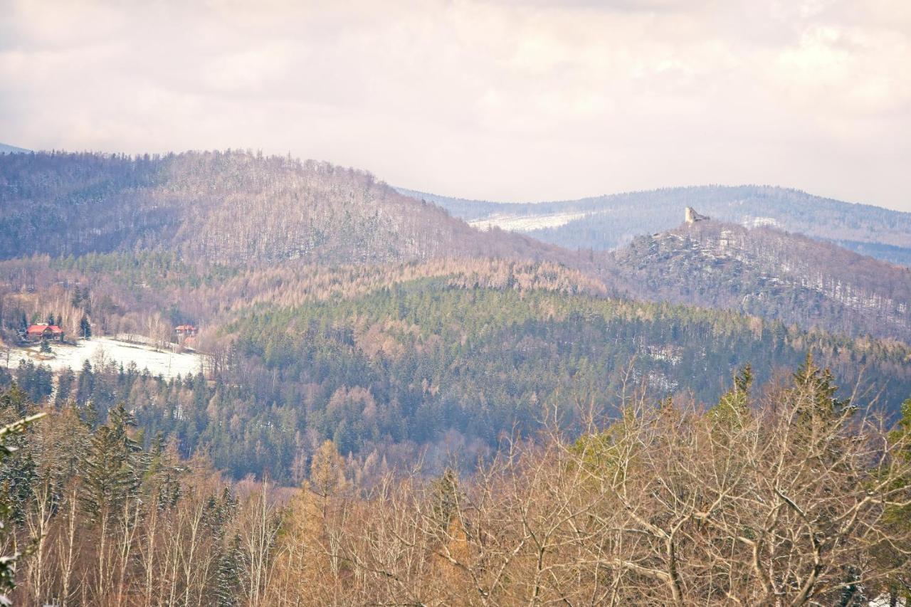 Willa "Sniezna Kopa"-Agroturystyka Pro Zdrowotna Villa Sosnowka  Exterior photo