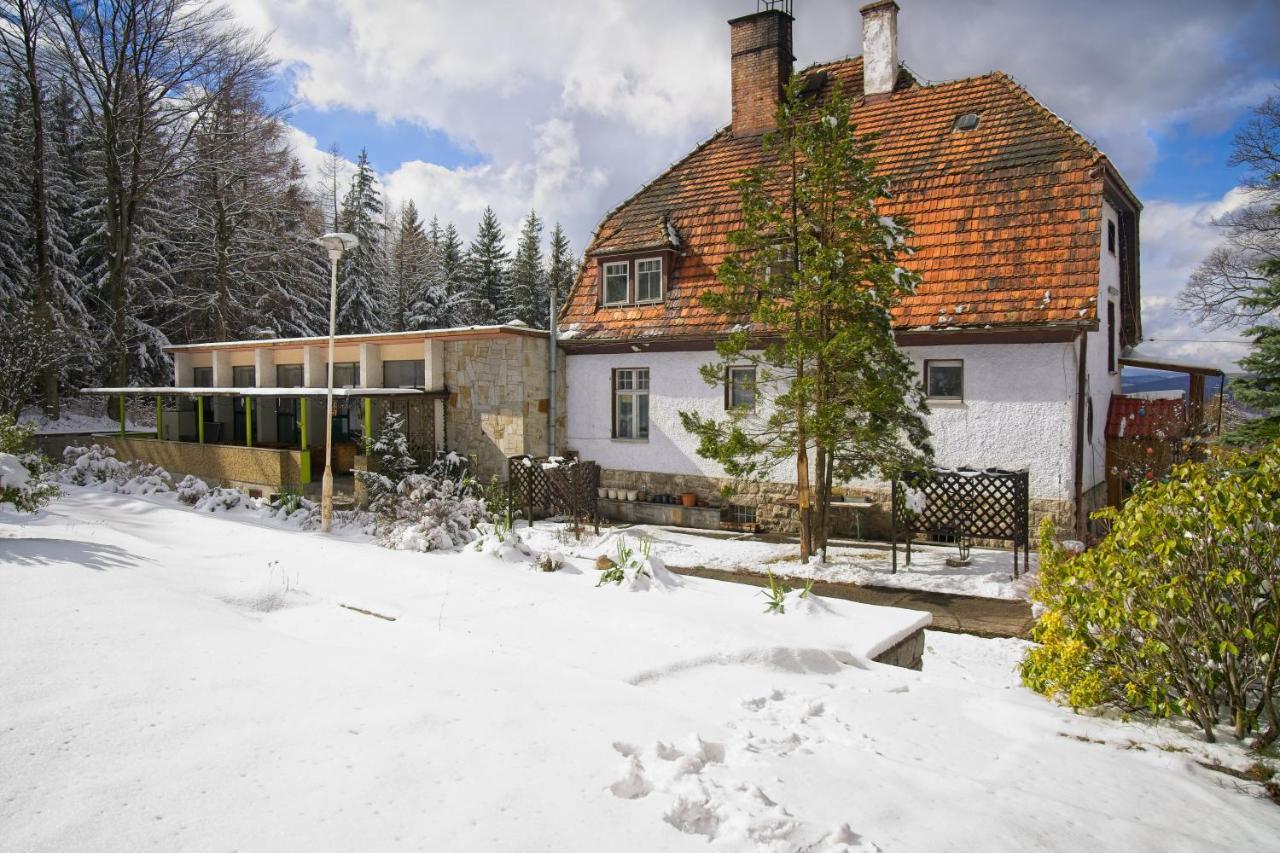 Willa "Sniezna Kopa"-Agroturystyka Pro Zdrowotna Villa Sosnowka  Exterior photo