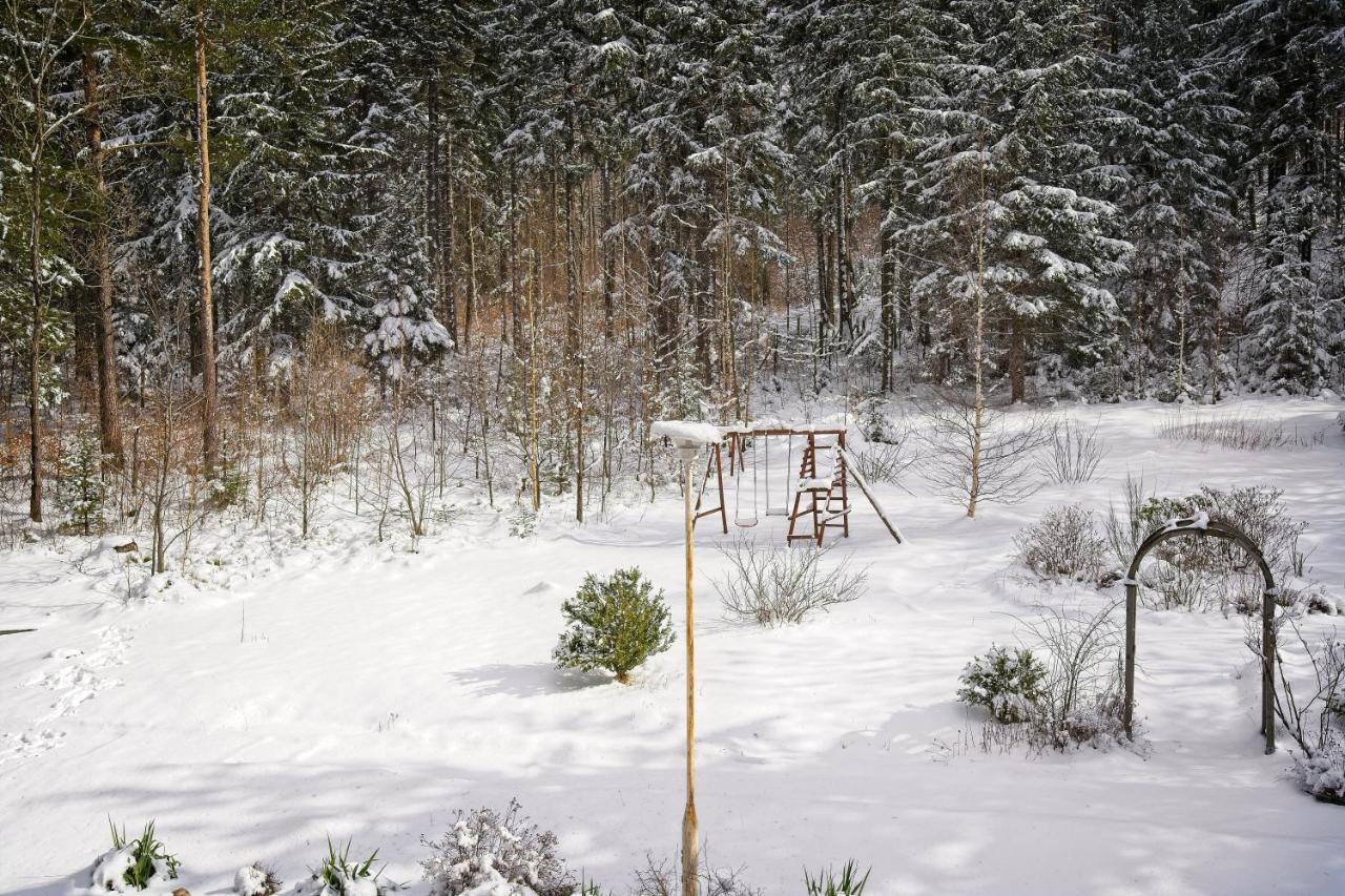 Willa "Sniezna Kopa"-Agroturystyka Pro Zdrowotna Villa Sosnowka  Exterior photo