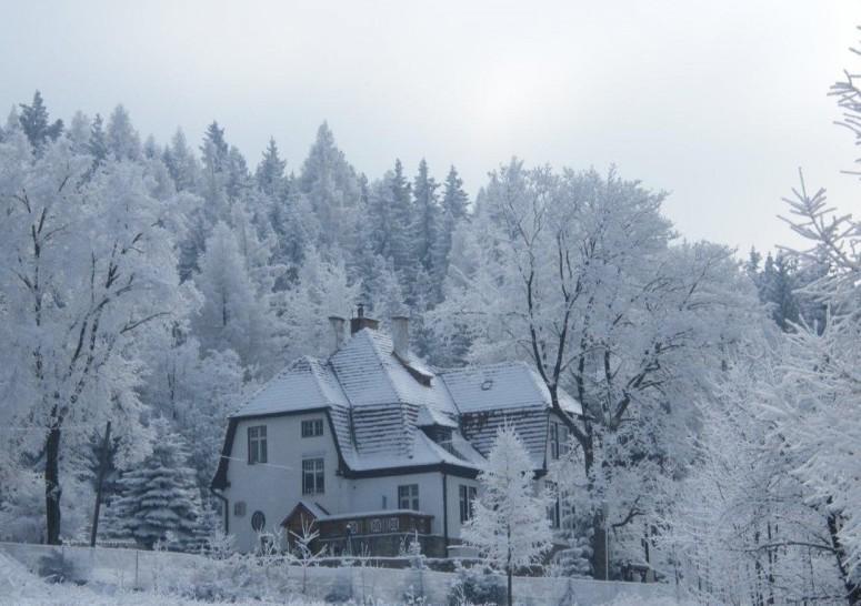 Willa "Sniezna Kopa"-Agroturystyka Pro Zdrowotna Villa Sosnowka  Exterior photo